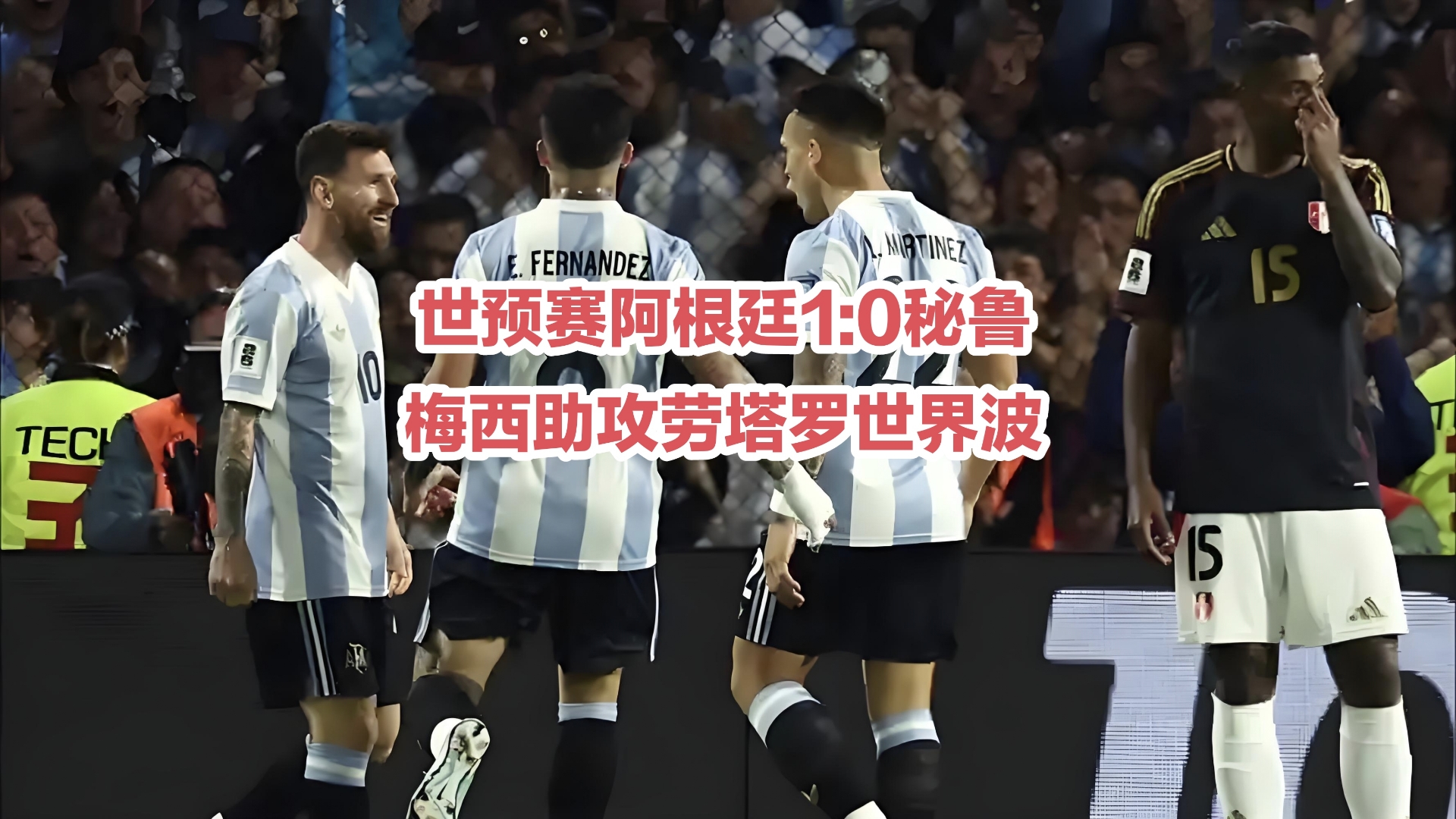 连胜终结！阿根廷队排球赛事中意外终止连败的简单介绍